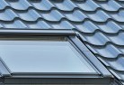 Angle Parkskylight-replacements.jpg; ?>